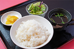 白楽天 ランチメニュー日替わりセット